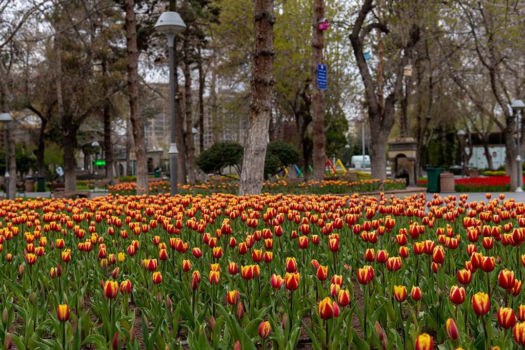 Kayseri'de Bahar Güzelliği