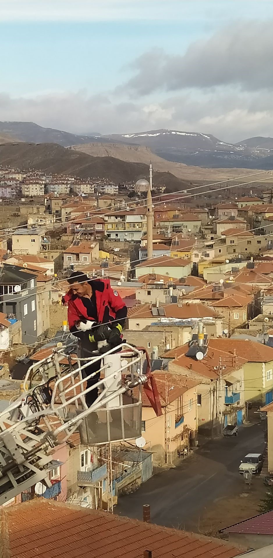 Yeşilhisar’da Yaramaz Kediyi Büyükşehir İtfaiyesi Kurtardı