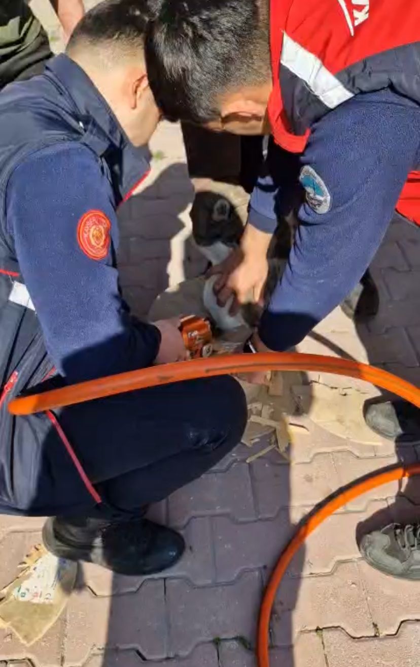 Kayseri İtfaiyesi, Ahşap Makaraya Sıkışan Yaramaz Kediyi Kurtardı