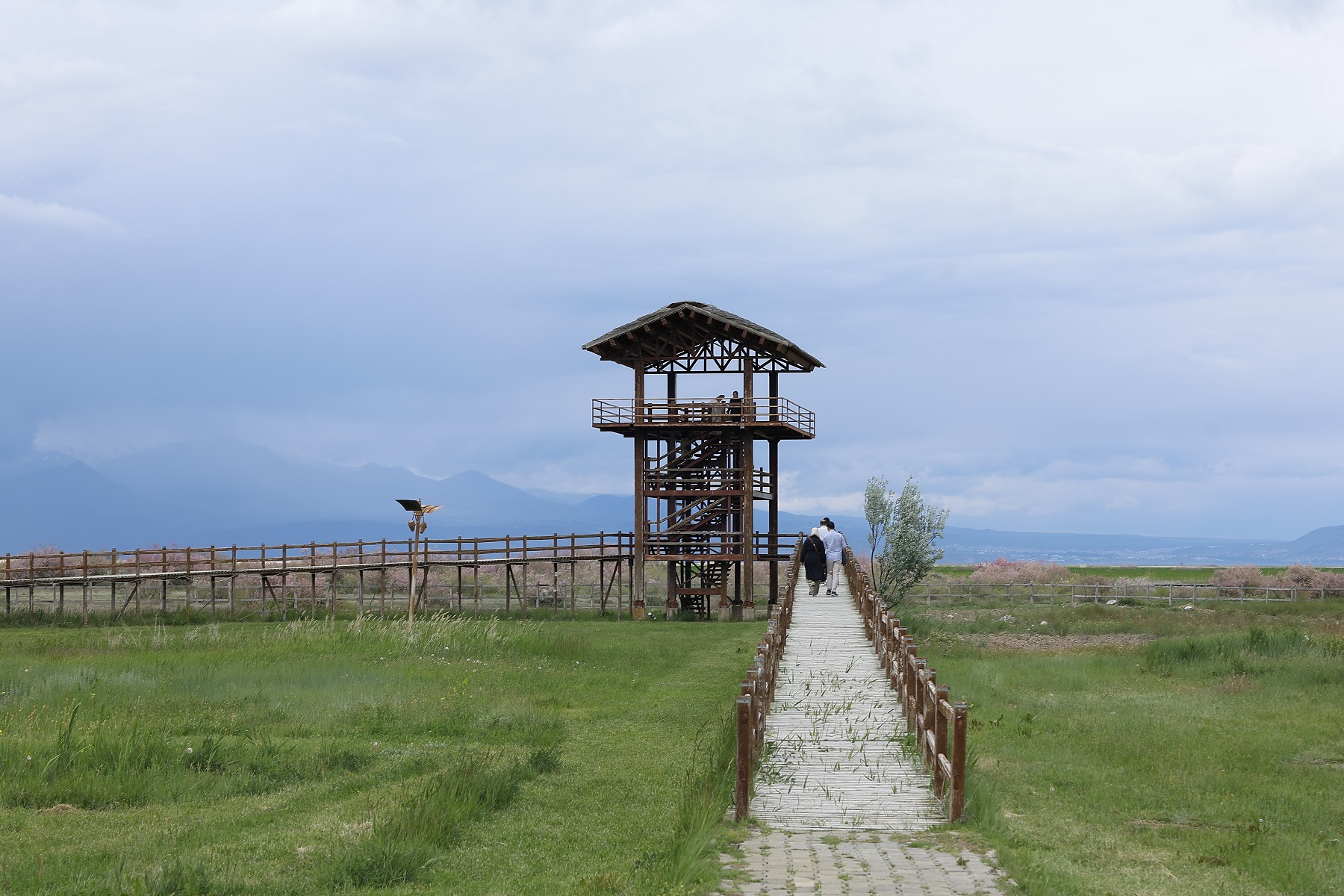Başkan Büyükkılıç: “Sultan Sazlığı Yeniden Canlandı”